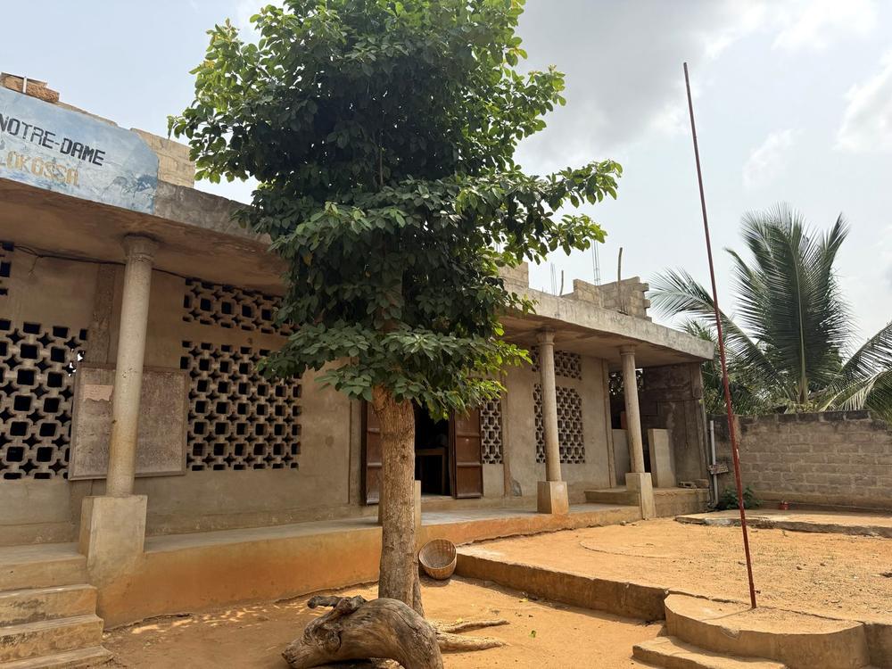 La cour ombragée de l'école